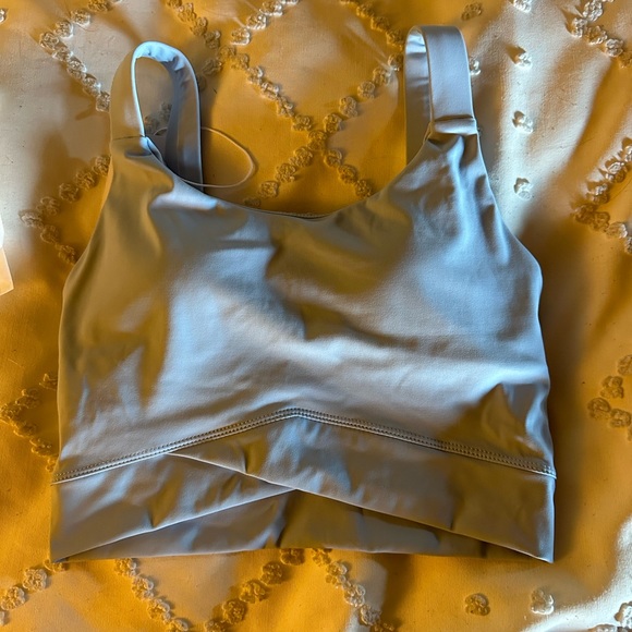 HALARA Tops - Halara Blue Cropped Sports Top